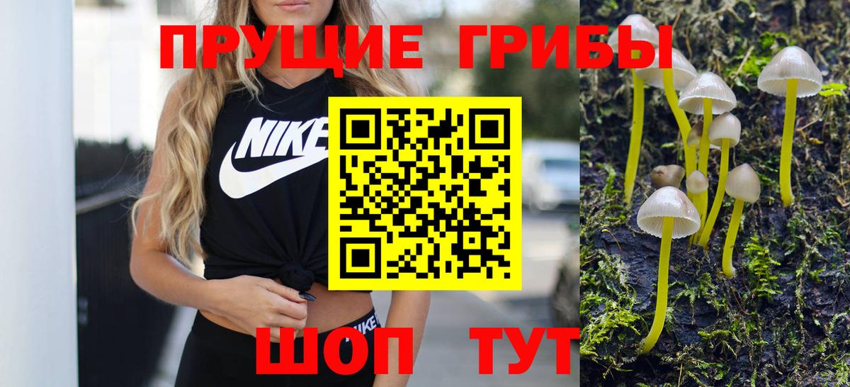Галлюциногенные грибы Psilocybine cubensis  Вход с VPN  Галлюциногенные грибы мицелий  Ликино-Дулёво 