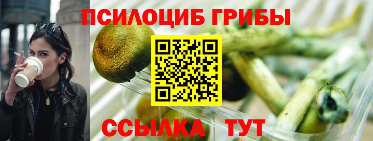 Псилоцибиновые грибы Psilocybe Ликино-Дулёво